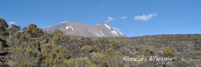 Kilimanjaro2